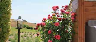 Airb&b guestrooms TARN ALBI CORDES SUR CIEL